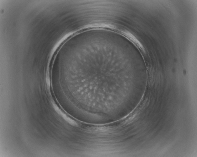 X0000080731084200612151218