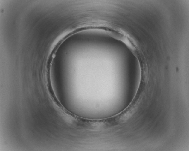 X0000080731085200612151218