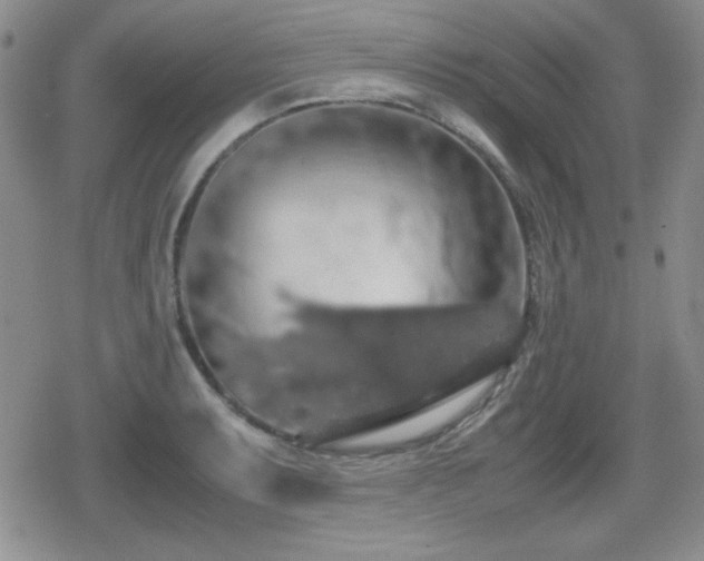 X0000080731087200612151218