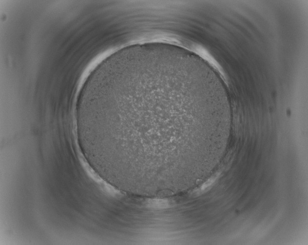 X0000080731088200612151218