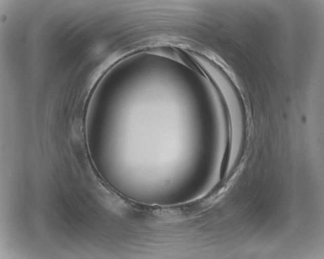 X0000080731089200612151218