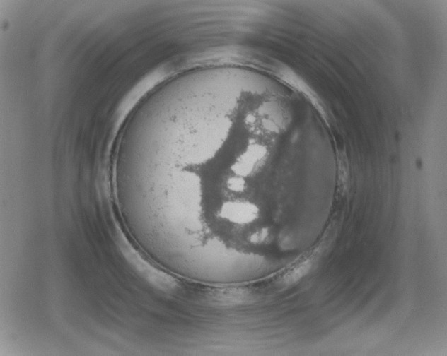 X0000080731090200612151218