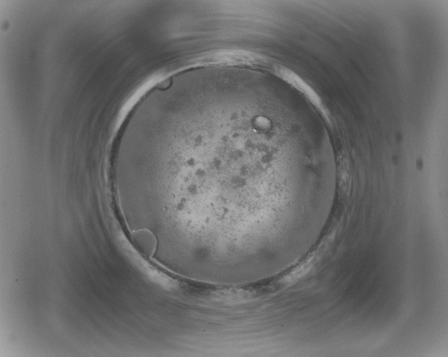 X0000080731091200612151218