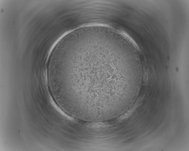 X0000080731092200612151218