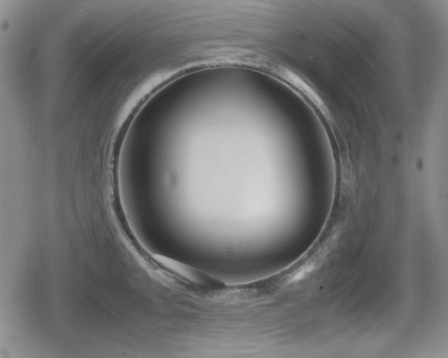 X0000080731093200612151218