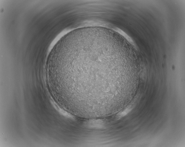 X0000080731094200612151218