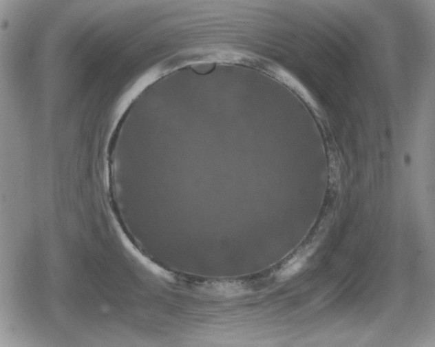 X0000080731095200612151218