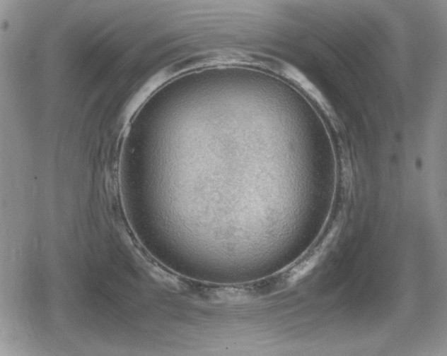 X0000080731097200612151218