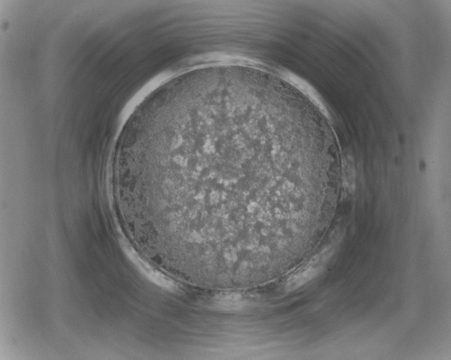 X0000080731098200612151218