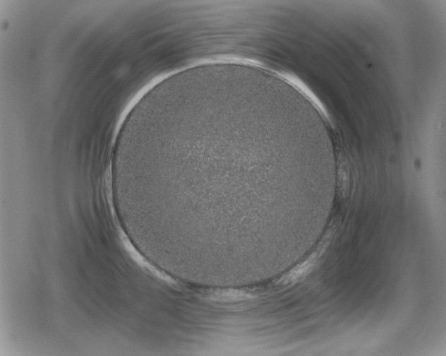 X0000080731100200612151218