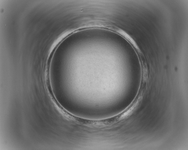 X0000080731101200612151218