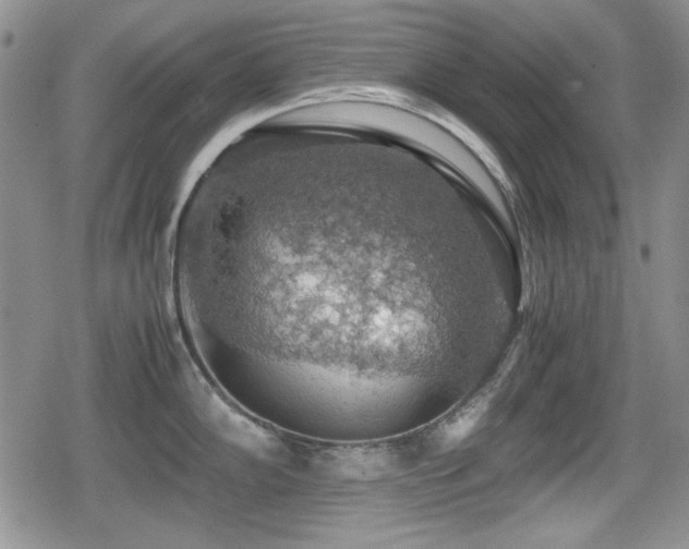 X0000080731102200612151218