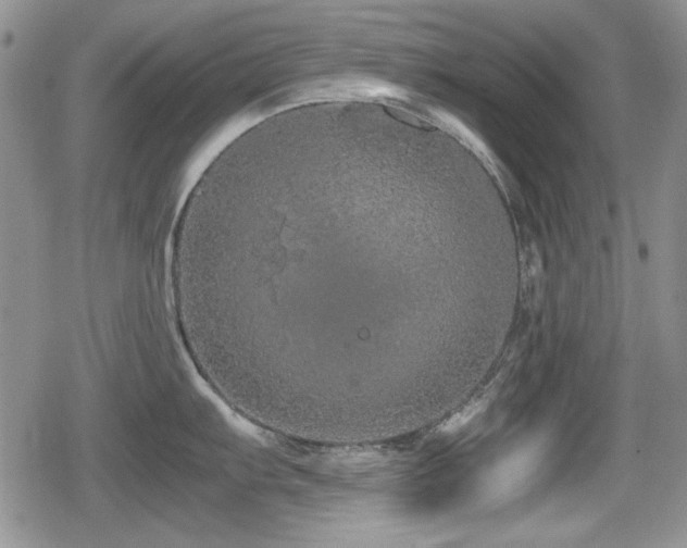 X0000080731103200612151218