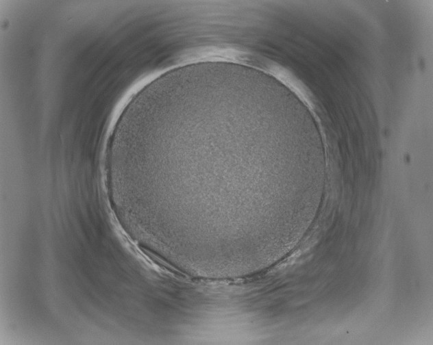 X0000080731104200612151218