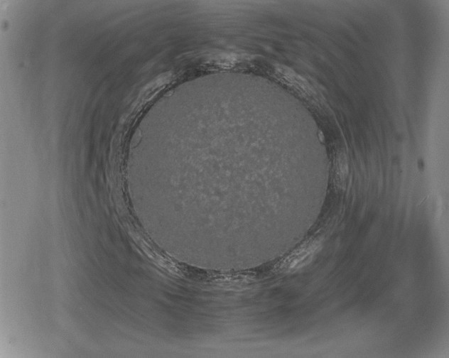 X0000080731105200612151217