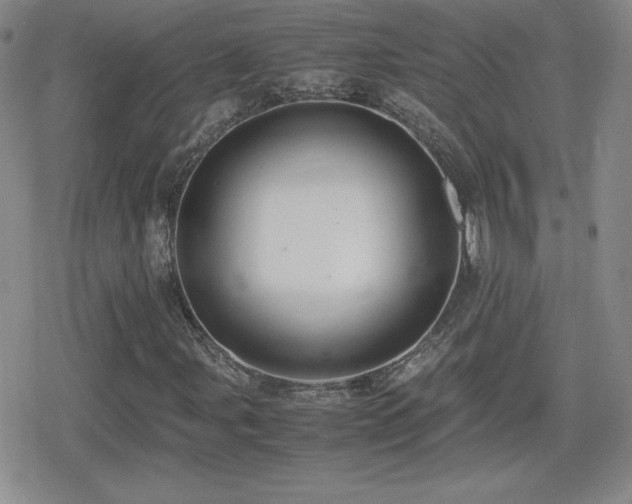 X0000080731107200612151217