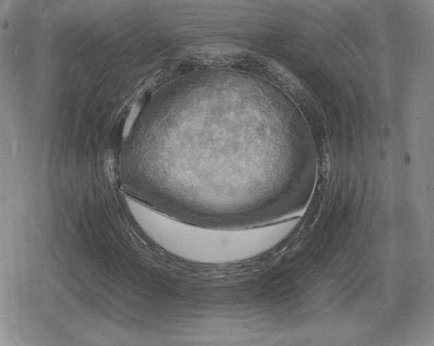 X0000080731108200612151217