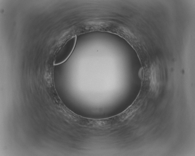 X0000080731109200612151217