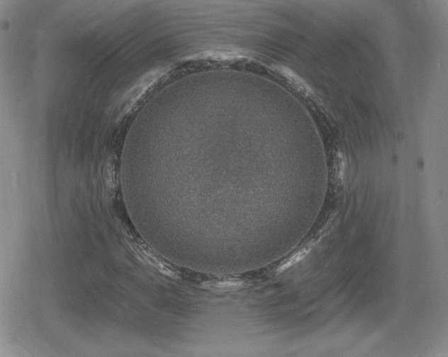 X0000080731110200612151217