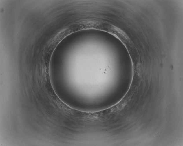 X0000080731111200612151217