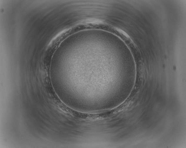 X0000080731112200612151217