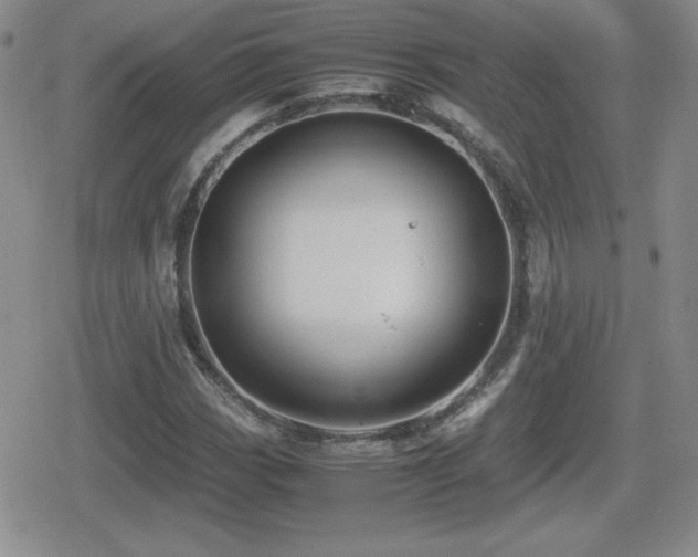 X0000080731113200612151217