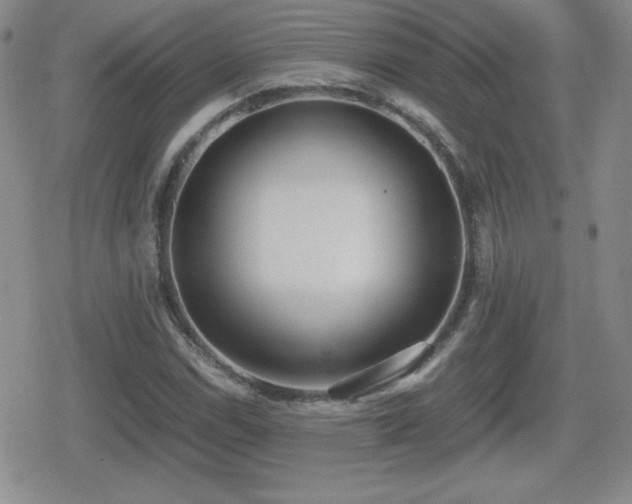 X0000080731114200612151217