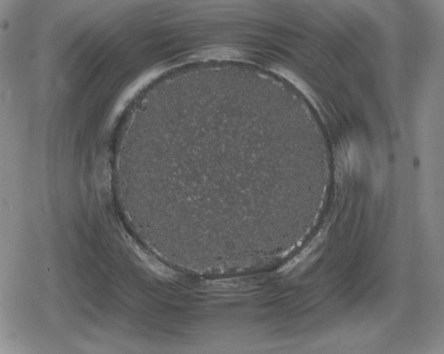 X0000080731115200612151217