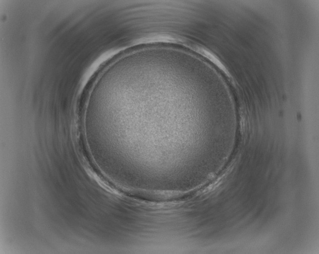 X0000080731116200612151217