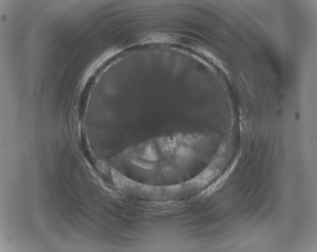 X0000080731117200612151217