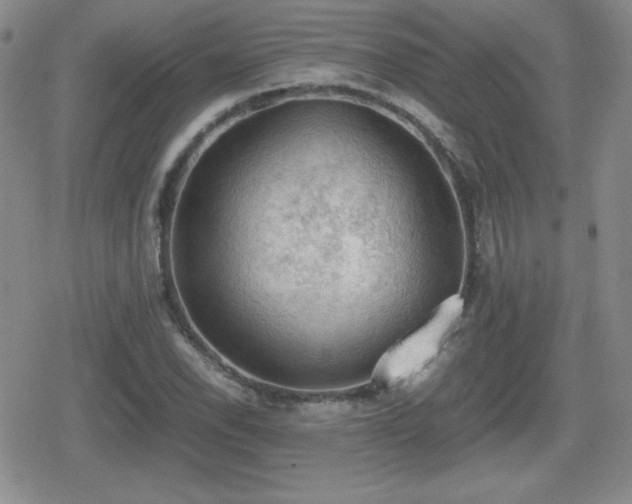 X0000080731118200612151217