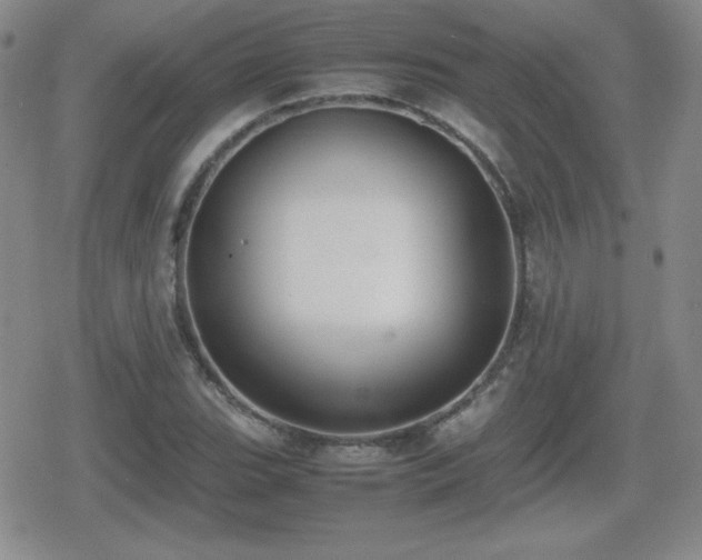 X0000080731119200612151217