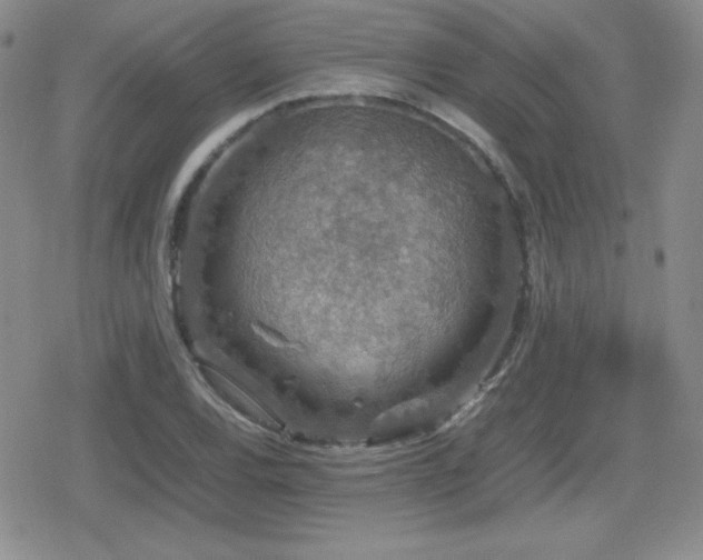 X0000080731120200612151217