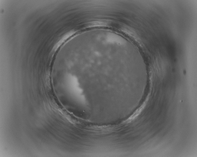 X0000080731121200612151217