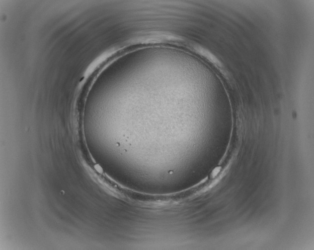 X0000080731122200612151217