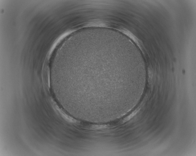 X0000080731123200612151217