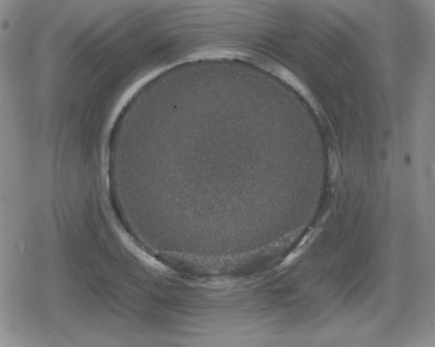 X0000080731124200612151217