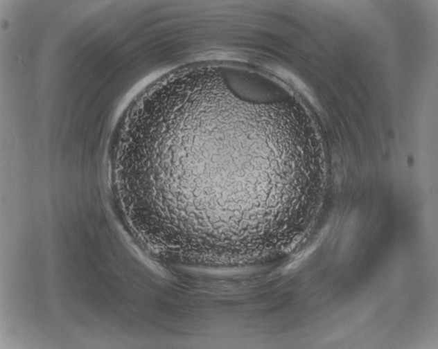 X0000080731125200612151217