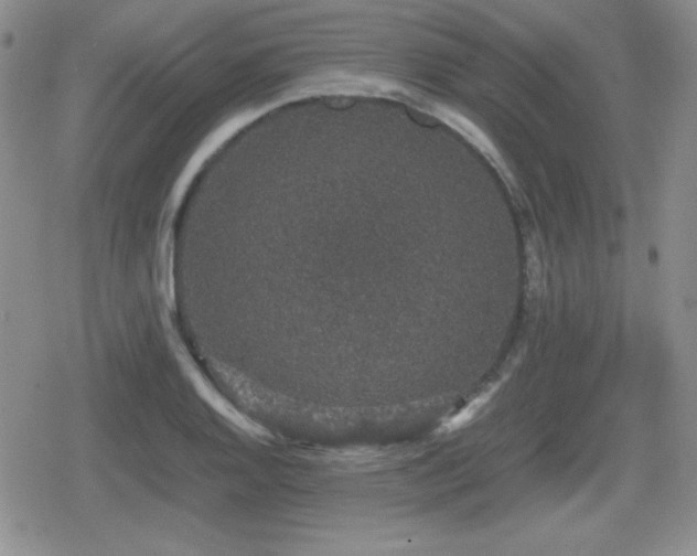 X0000080731128200612151217