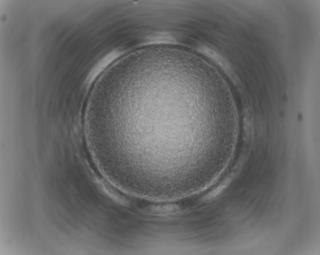 X0000080731129200612151217