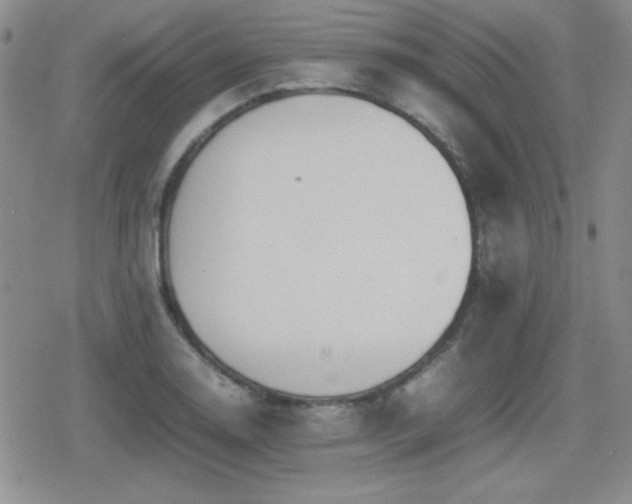 X0000080731130200612151217