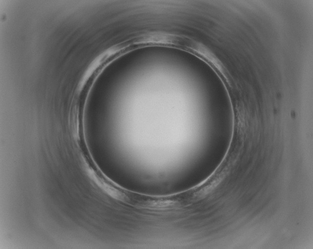 X0000080731131200612151217