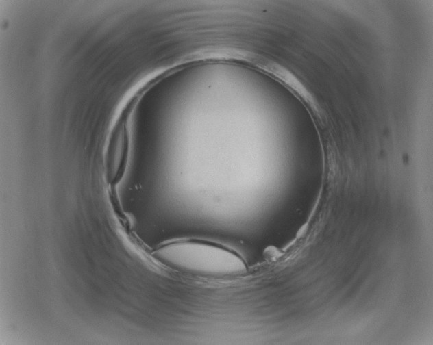 X0000080731132200612151217