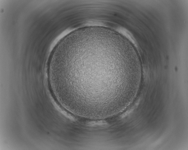 X0000080731133200612151217