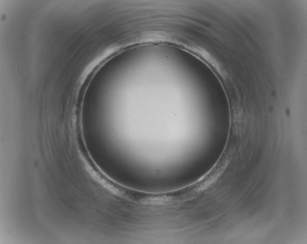 X0000080731134200612151217