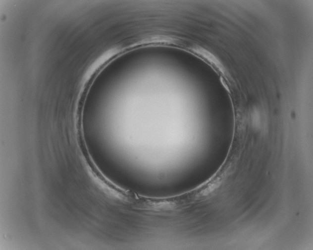 X0000080731135200612151217