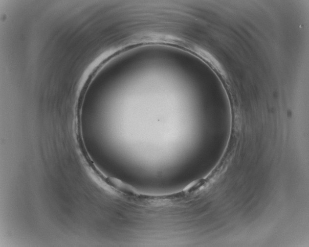 X0000080731136200612151217