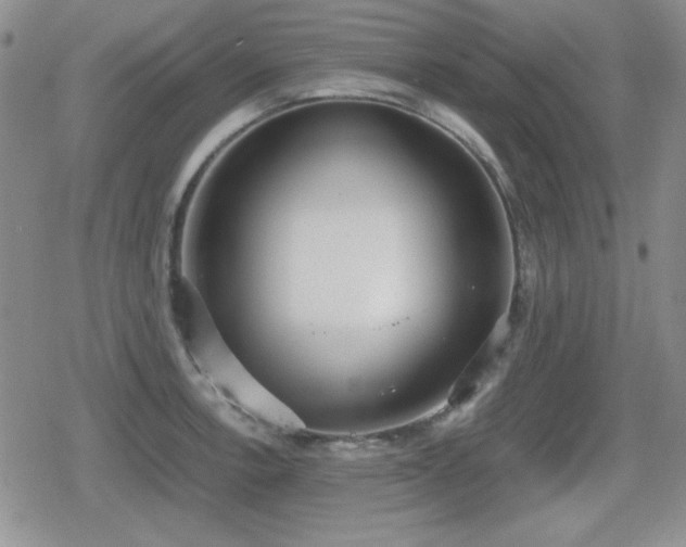 X0000080731138200612151217