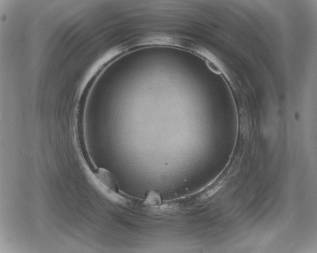 X0000080731139200612151217