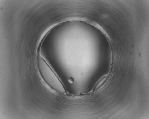 X0000080731140200612151217